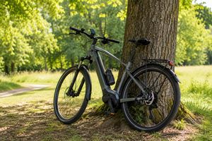 Ebike am Baum